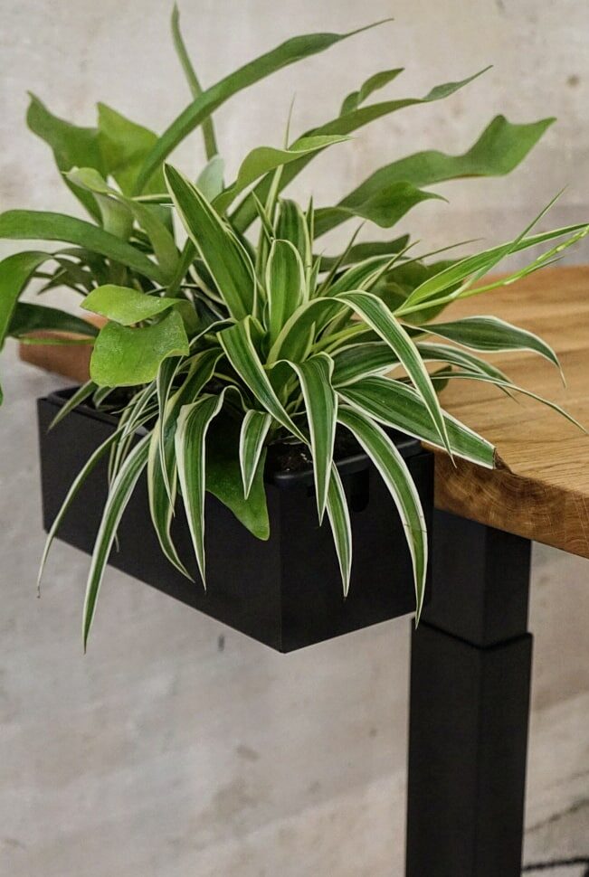 Eine multifunktionsbox entweder als dekorativer zusatz mit blumenkasten oder zusätzlicher stauraum mit deckel